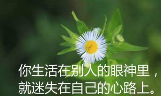 感悟人生句句精美 感悟人生的经典