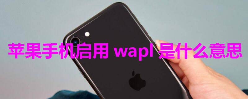 iPhone手机启用wapl是什么意思 iph