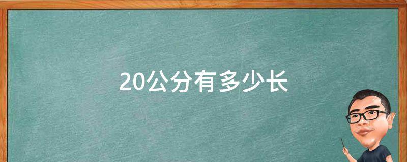 20公分有多少长 20公分有多少长距