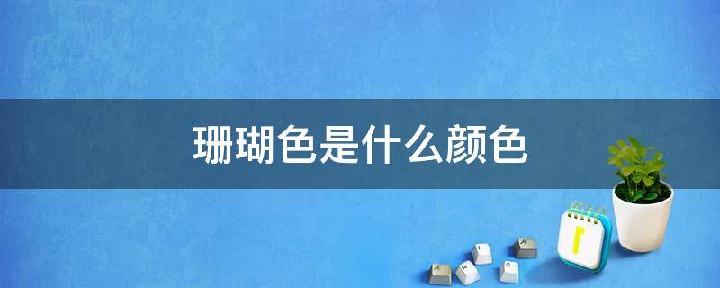 珊瑚色是什么颜色 苹果xr珊瑚色是