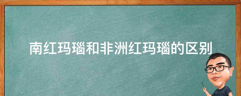 南红玛瑙和非洲红玛瑙的区别（南红玛