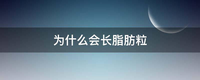 为什么会长脂肪粒（为什么会长脂肪粒