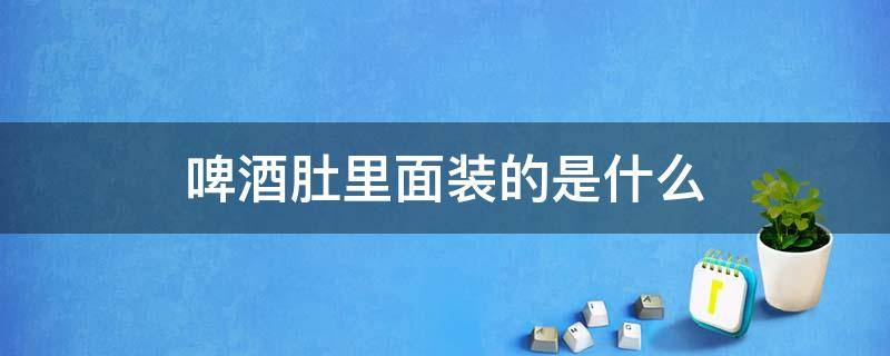 啤酒肚里面装的是什么（啤酒肚里面是