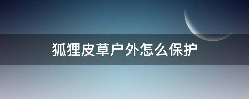 狐狸皮草户外怎么保护（狐狸皮草怎么