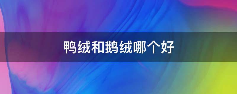 鸭绒和鹅绒哪个好（冰岛雁鸭绒和鹅绒