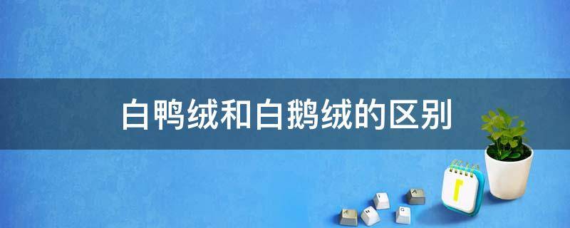 白鸭绒和白鹅绒的区别 白鹅绒和白