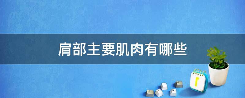 肩部主要肌肉有哪些 肩部的肌肉及