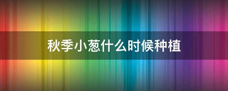 秋季小葱什么时候种植 秋季小葱什