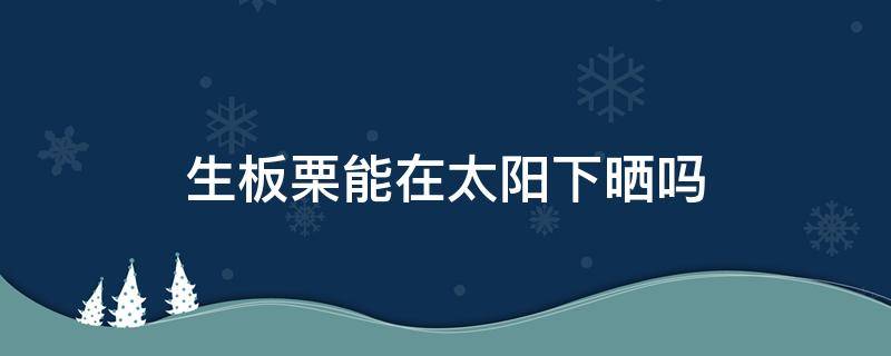 生板栗能在太阳下晒吗 生板栗可以