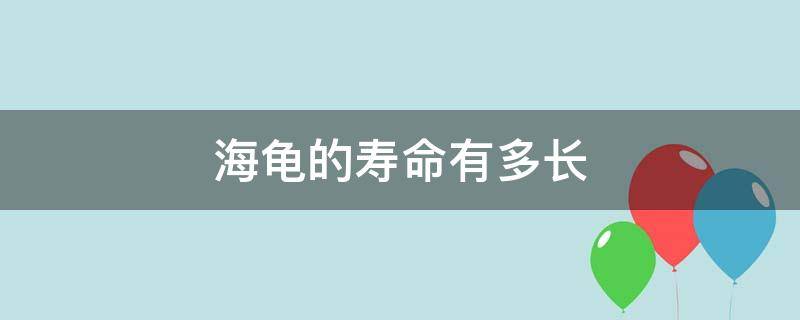 海龟的寿命有多长（海龟的寿命有多长