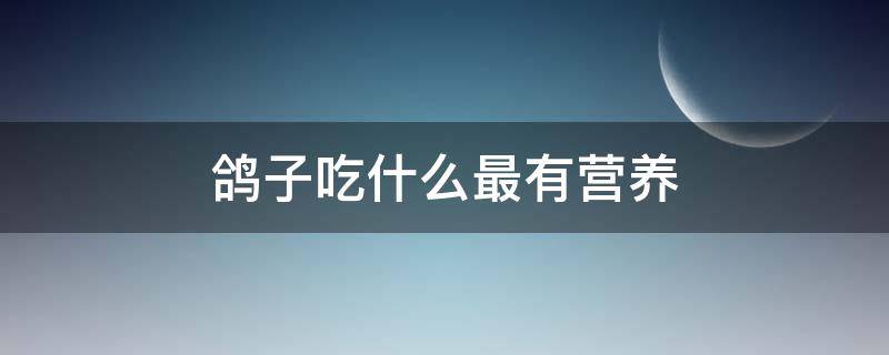 鸽子吃什么最有营养（鸽子吃什么最营