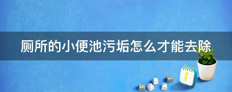 厕所的小便池污垢怎么才能去除（小便