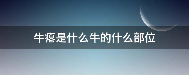 牛瘪是什么牛的什么部位（牛瘪是什么