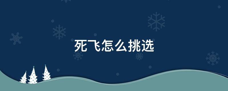 死飞怎么挑选 死飞尺寸选择