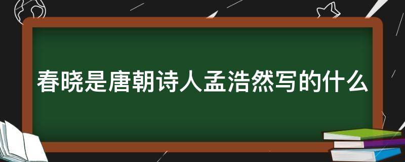 春晓是唐朝诗人孟浩然写的什么（春晓