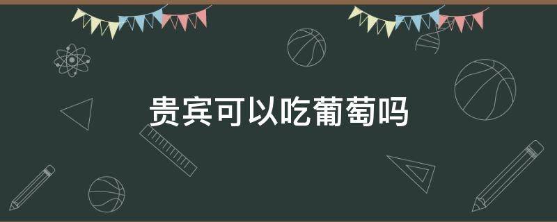 贵宾可以吃葡萄吗 贵宾可以吃葡萄