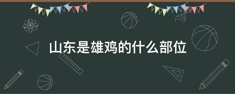 山东是雄鸡的什么部位 山东什么鸡