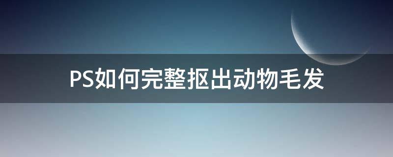 PS如何完整抠出动物毛发 ps如何完