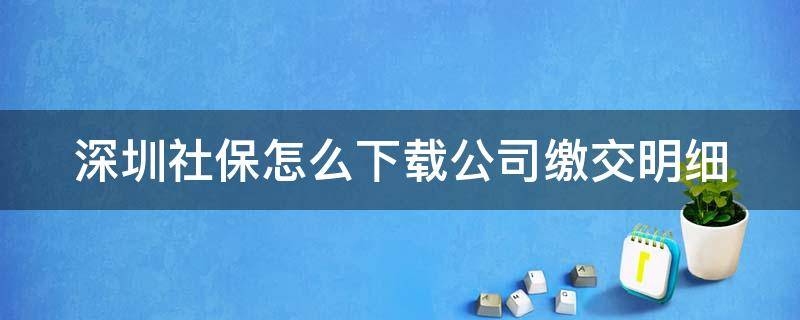 深圳社保怎么下载公司缴交明细 深圳单位社保缴费凭证