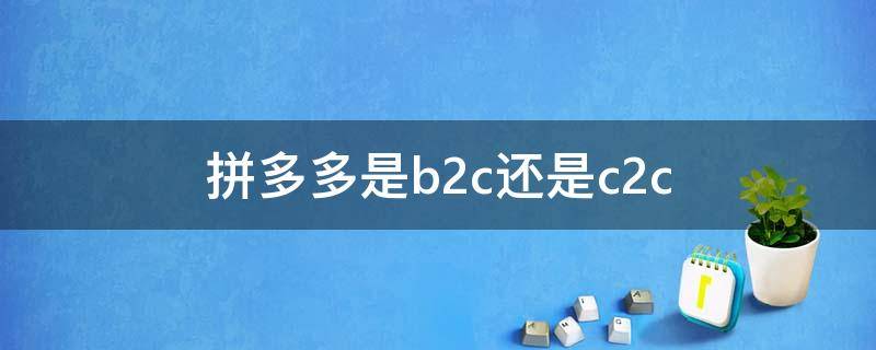 拼多多是b2c还是c2c 拼多多属于c2b