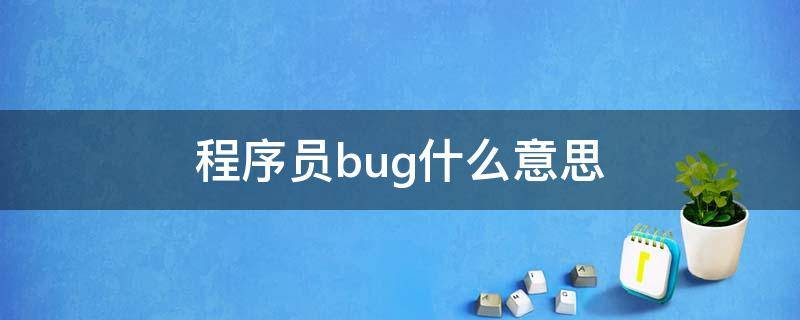 程序员bug什么意思 程序员bug什么