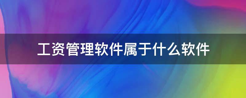 工资管理软件属于什么软件 某单位