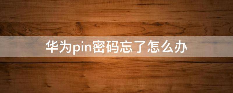 华为pin密码忘了怎么办（华为pin密码