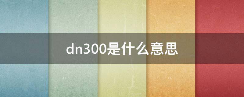 dn300是什么意思 管道dn300是什么